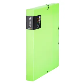 PP-Box mit Gummi A4 Opalgrün